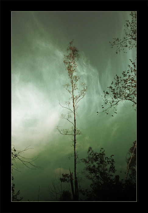 UNFAMILIAR WIND II