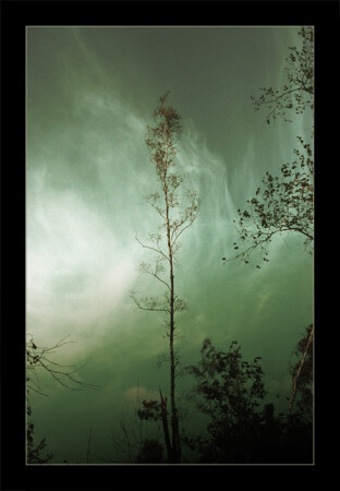 UNFAMILIAR WIND II