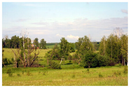 Подмосковный пейзаж