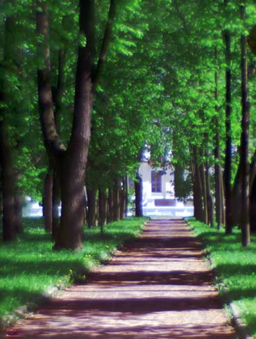 Аллея старого парка