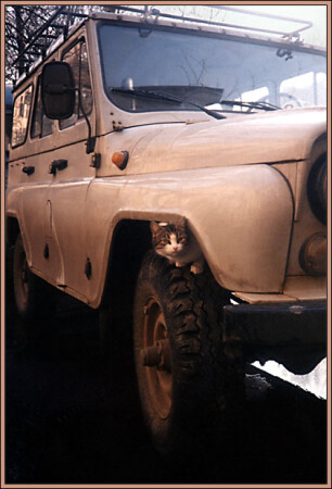 Автолюбитель