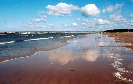 Зеркало неба