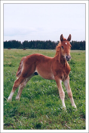 А я маленький такой!