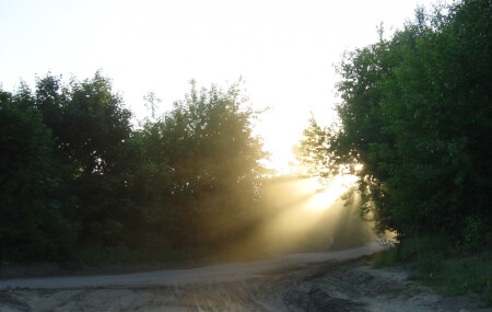 Лучи