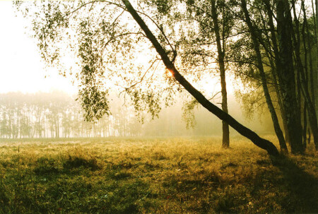Утром