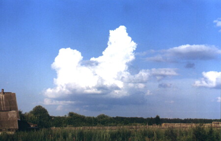 Пегас