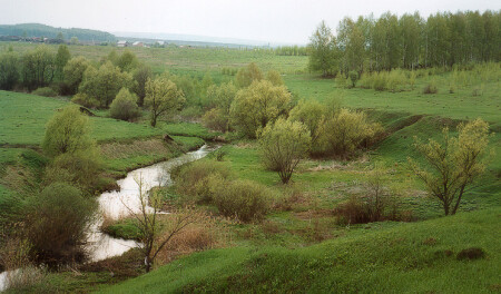Средняя полоса
