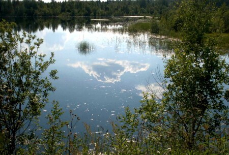Зеркало