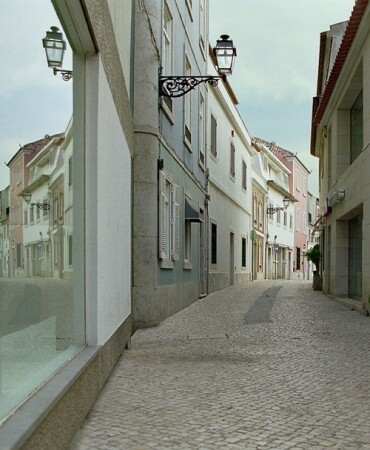 Bifurcation-1