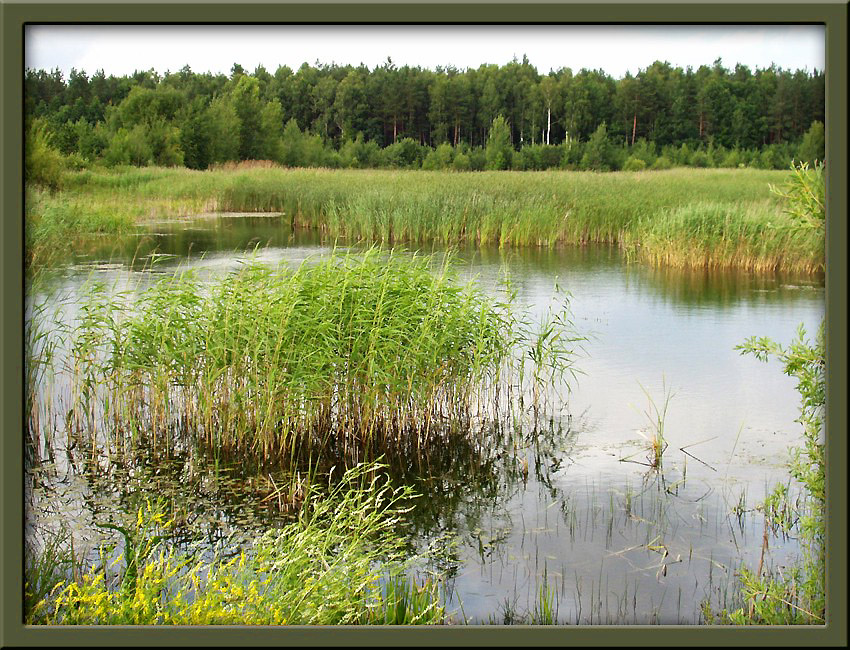 Рыбное место 2
