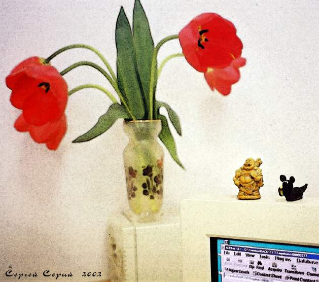 TULIPS-2