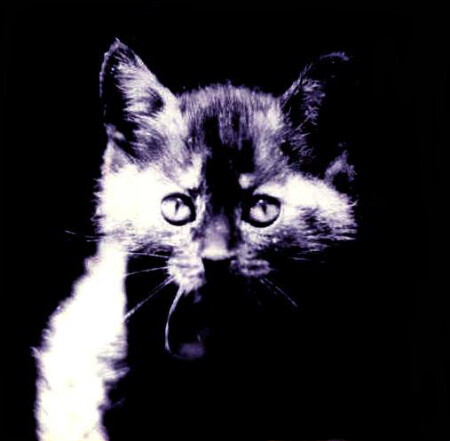 Не стойте на пути...