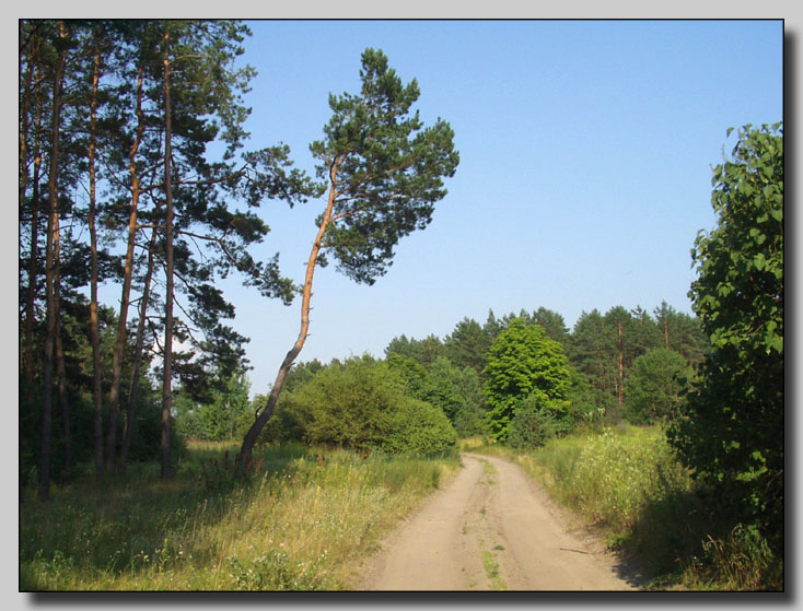 Дорога (продолжение)