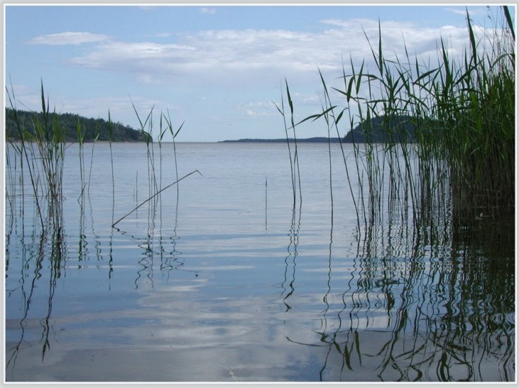 На берегу Ладоги