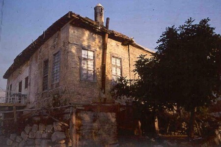 dom-1