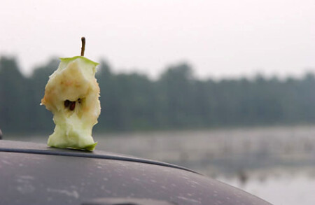 След от яблока.