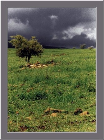 перед ливнем