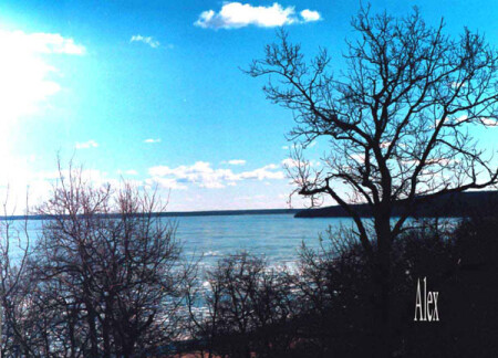 Холодный пейзаж