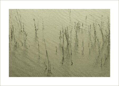 Из непонятого