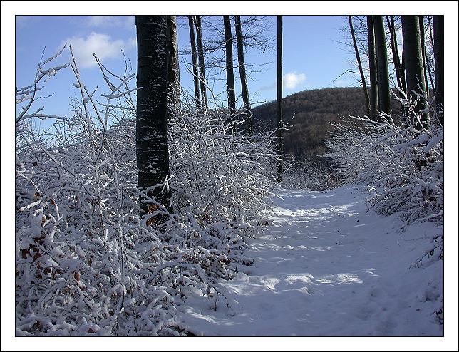 I'm Dreaming of a White Christmas