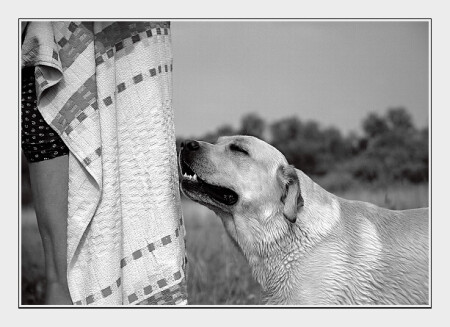 Настроение