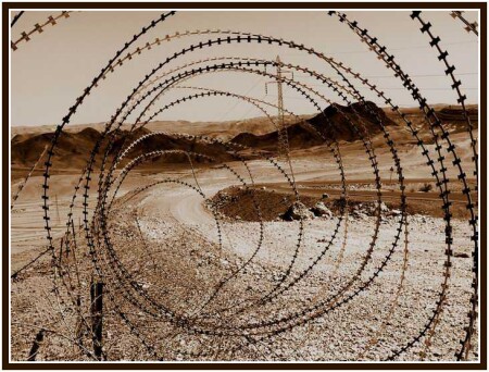 На краю свободы...