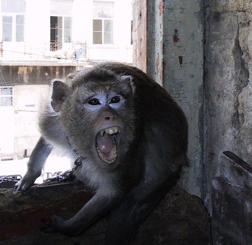 Выйди вооон!