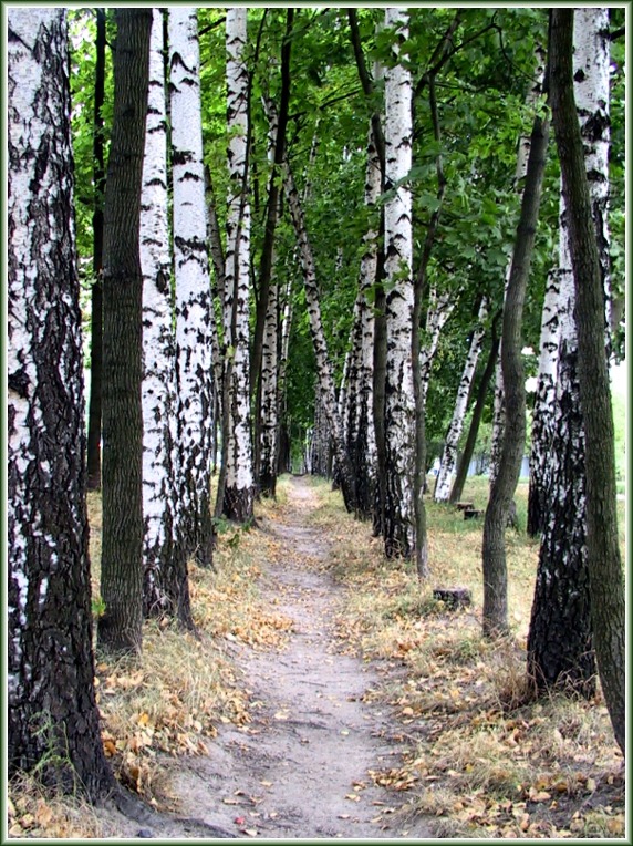 Тропинка