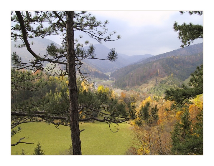 Осеннее
