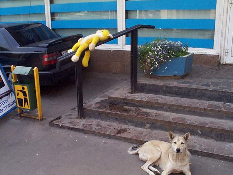 Вход