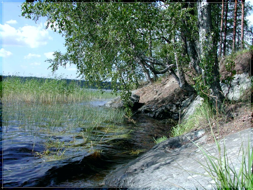 Скалистый берег