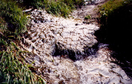 ручеёк и солнце