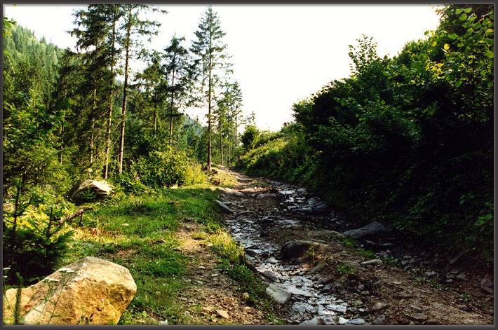 Горная дорога