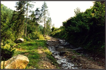 Горная дорога