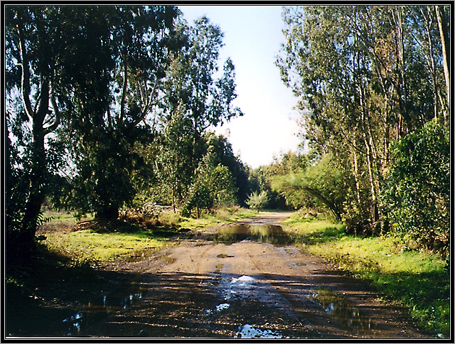 Зимняя дорога