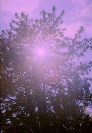 Ветвистый Бог