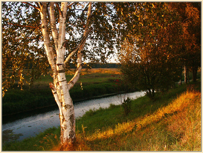 С берега реки