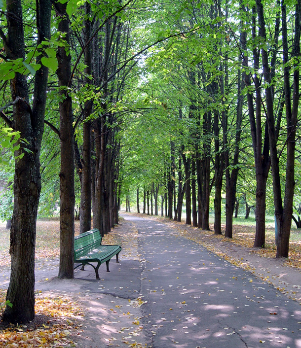 Дорожка в парке