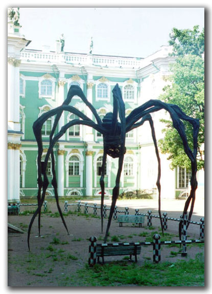 Паук в Эрмитаже (Питер)