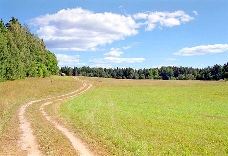 Лужок