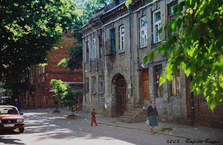 Летнее утро, тополиный снег
