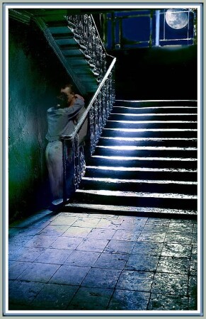 Летняя ночь