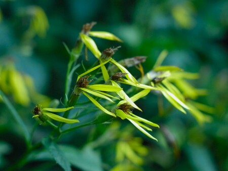 Направление