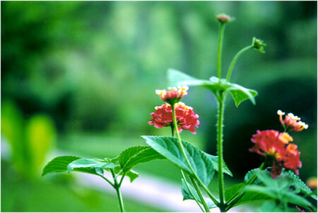 без названия