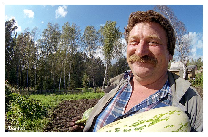 Дачник