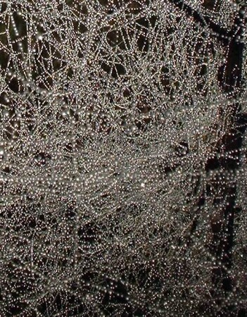 Раннее утро