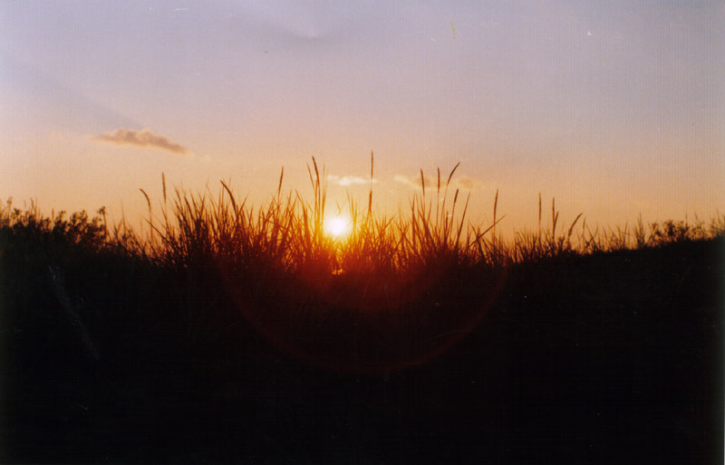 just sunset