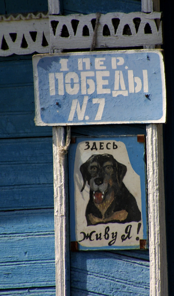 собачий адрес