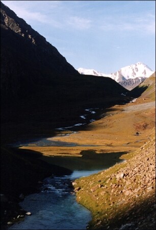 Терминатор