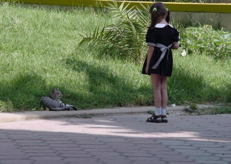 Девочка и киса...